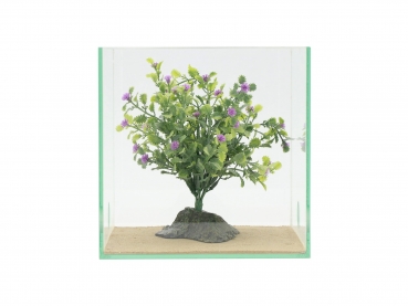 Desert bush - 21cm